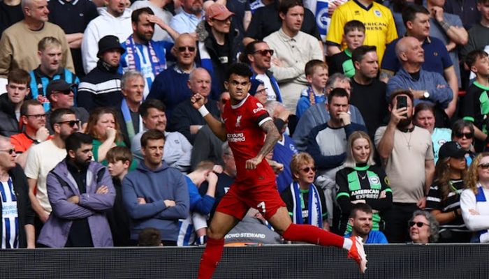 Liverpool Pimpin Klasemen Sementara Liga Inggris, Usai Tundukkan Brighton 2-1